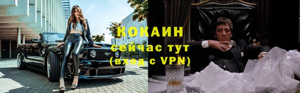 мяу мяу мука Заводоуковск
